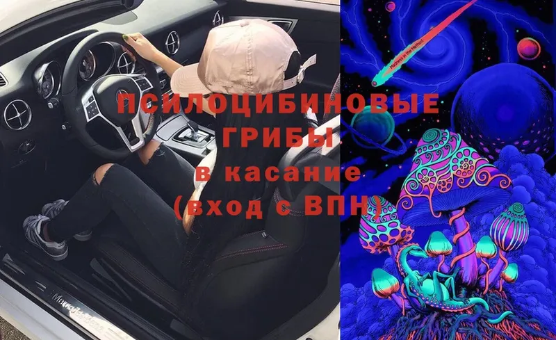 kraken зеркало  Верещагино  Псилоцибиновые грибы Magic Shrooms 